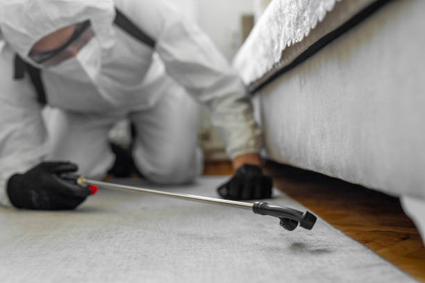 Professional Cockroach Control technician working in La Huerta, NM