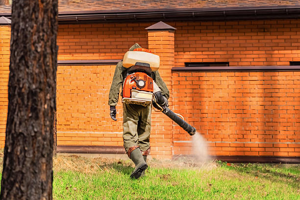 Trusted Bed Bug Control service in La Huerta, NM - Nex Pest Control